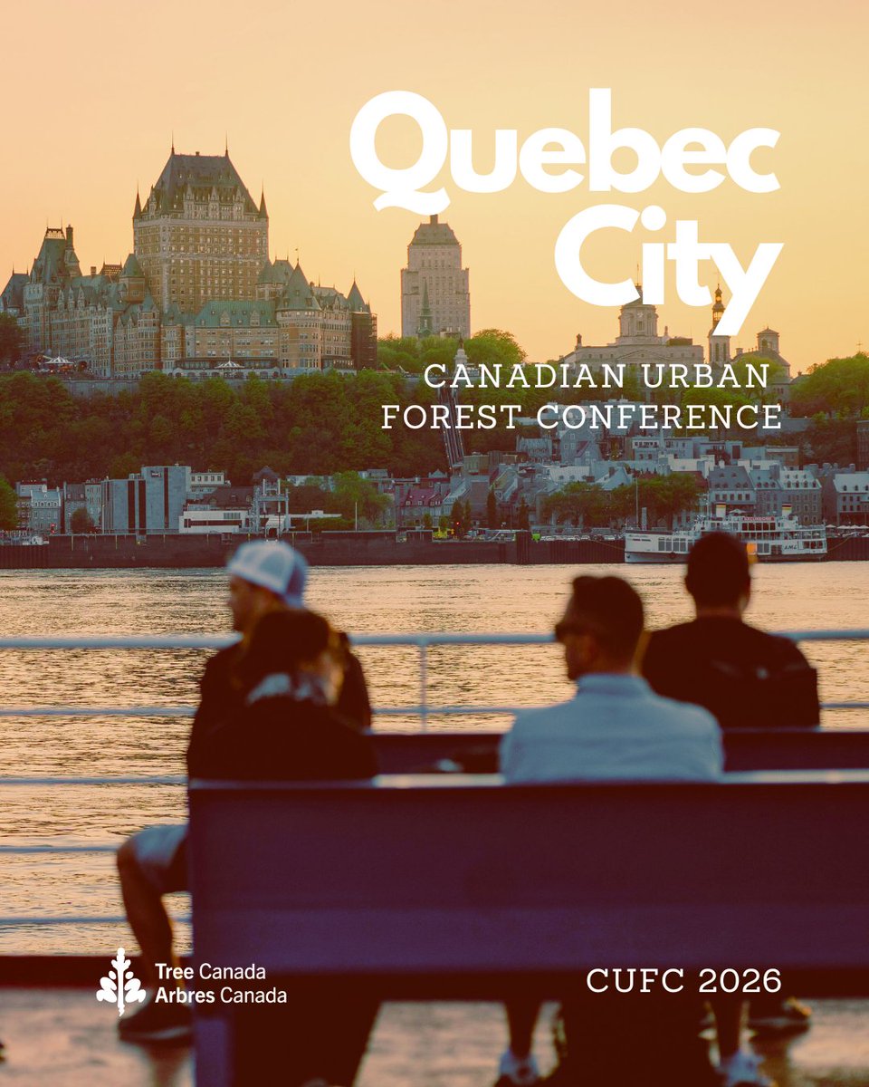 Tree Canada tweet media