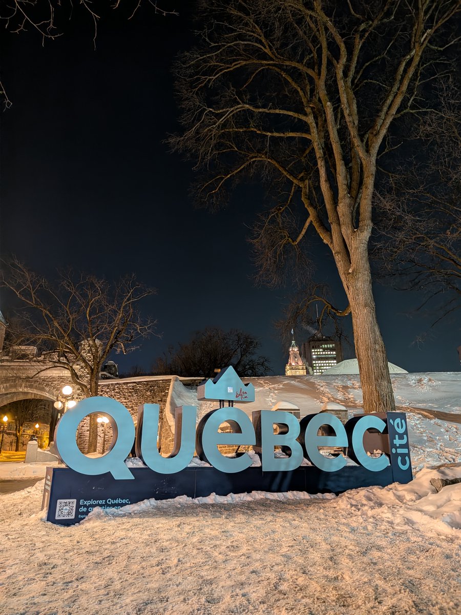 Tree Canada tweet media