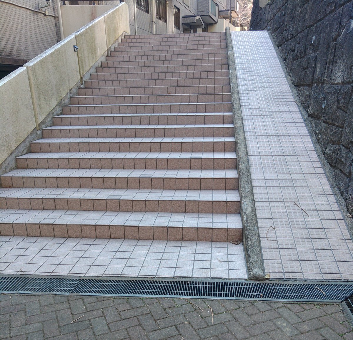 正解は7歩でした〜😆