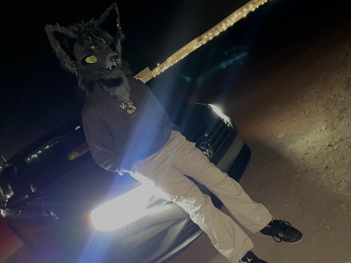 stvrtearz's tweet photo. Hi i’m star ⭐️🐾
just a utah fuzzy who rarely posts on here 
i made/make all my suits!! https://t.co/6ltPznJOhp