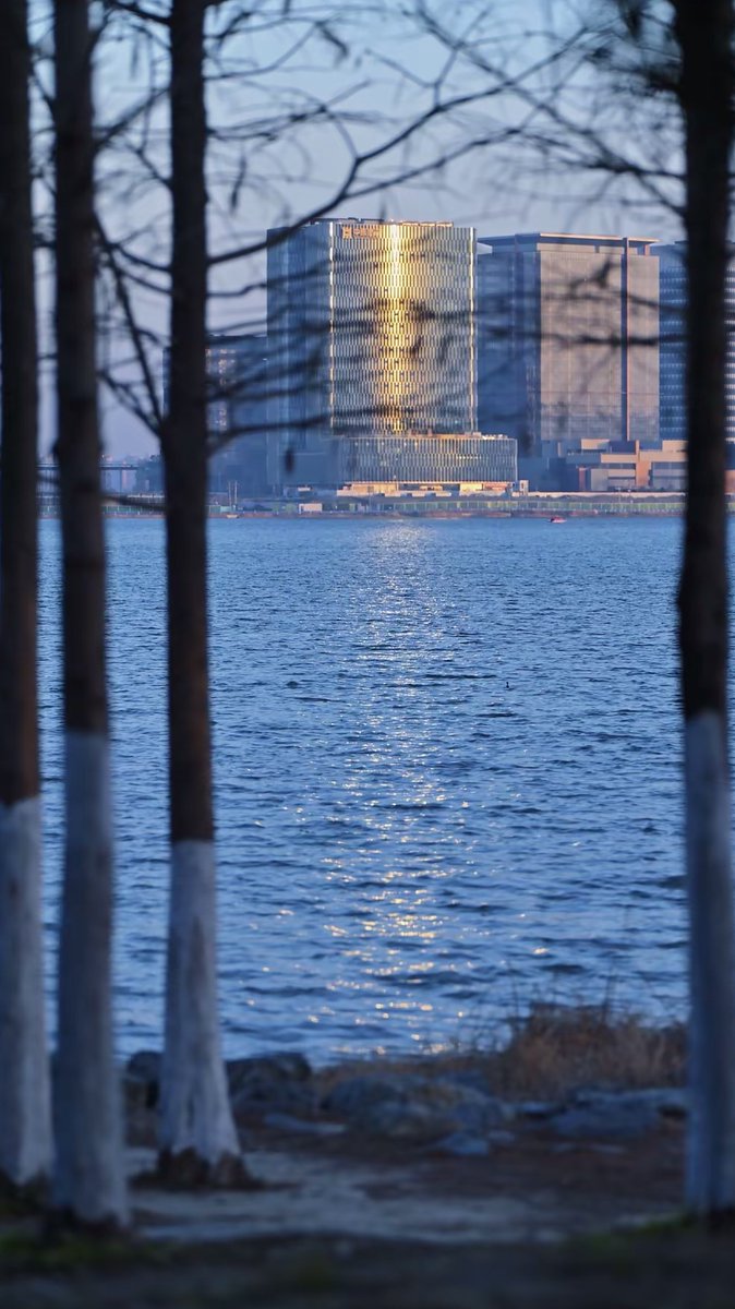 Where_Zhengzhou's tweet photo. Good morning, Beilonghu.
Morning light rests on the lake, and Zhengzhou wakes gently. 🌿☀
#Beilonghu #ZhengzhouMorning #CityByTheLake #GoodMorningZhengzhou https://t.co/ccGBpQ9K6M