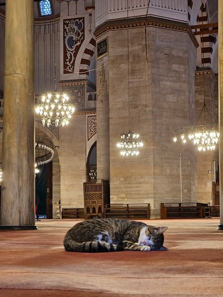 Sultan Ahmed Mosque, Istanbul 🇹🇷