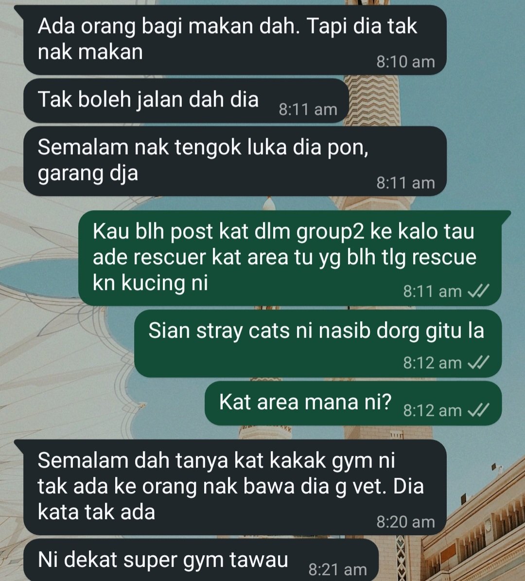 🐳 🦋 tweet media