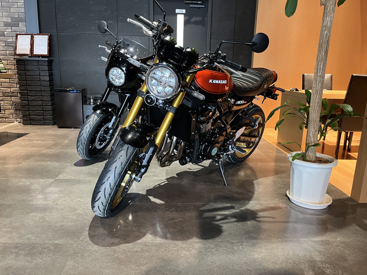 もう入荷始まったのね