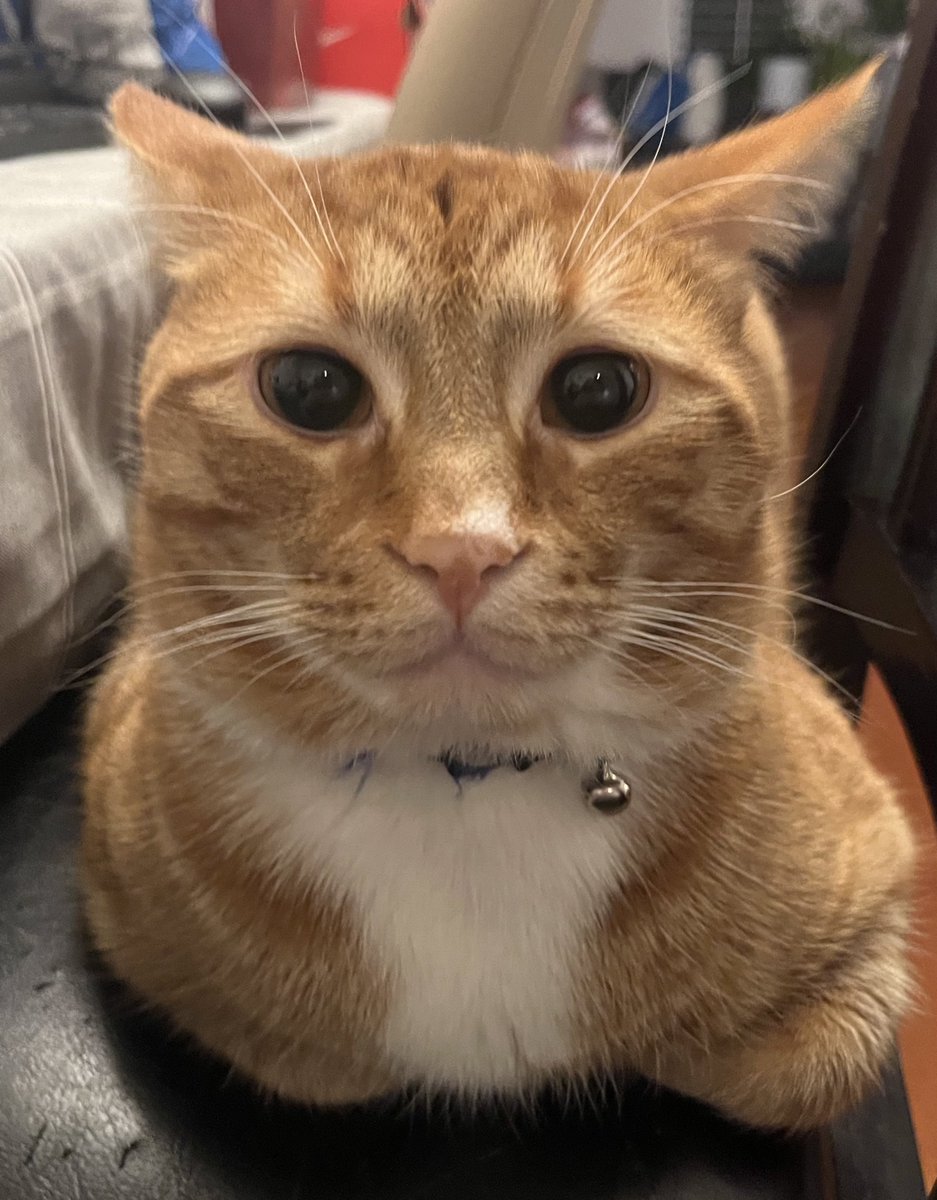 Sock’s father tweet media