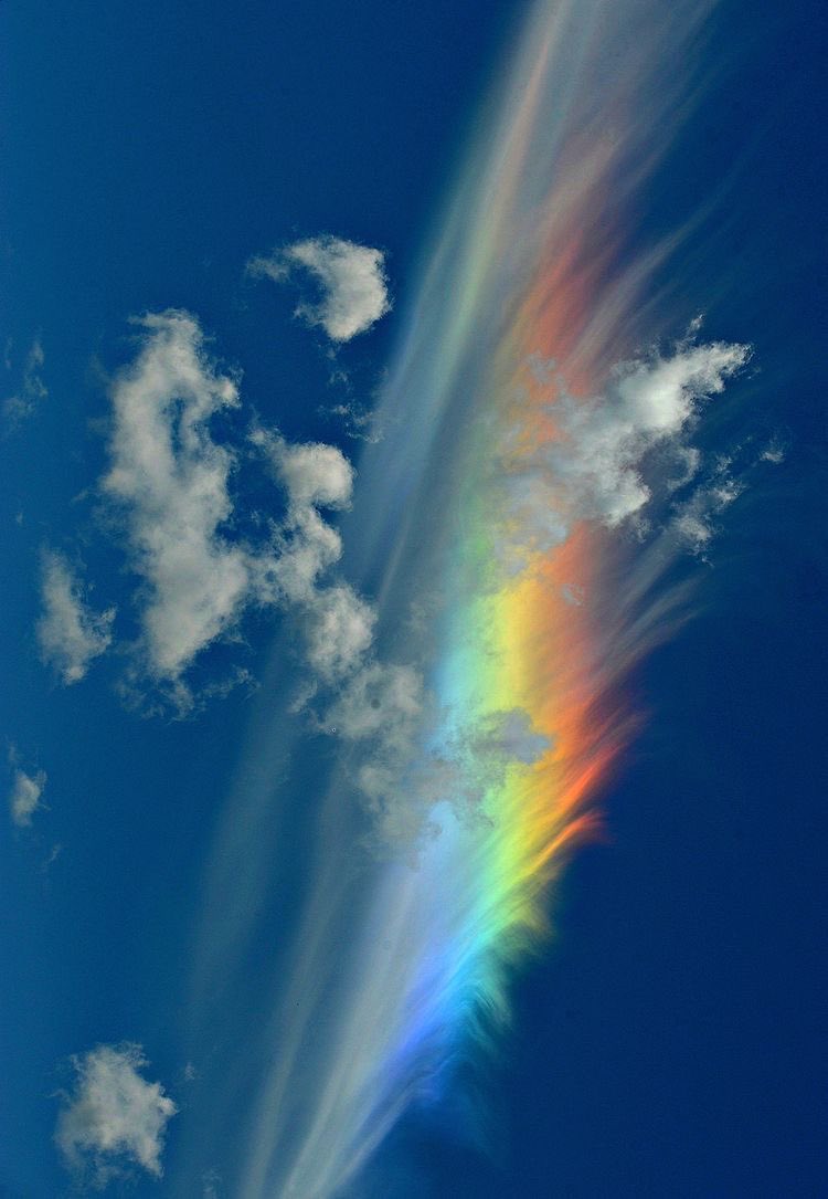 Aesthetics (@aestheticspost_) on Twitter photo 