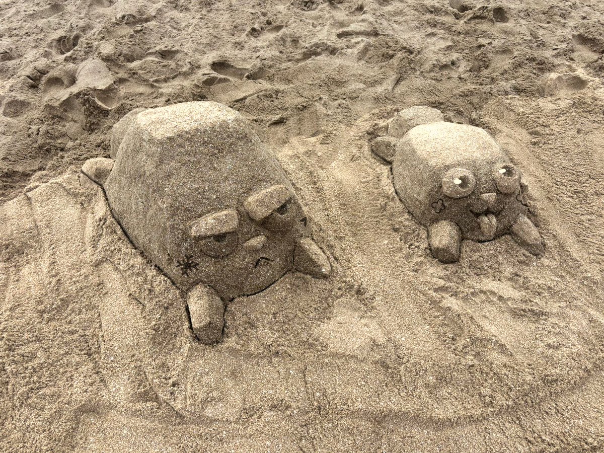 HAV 🩷 tweet media