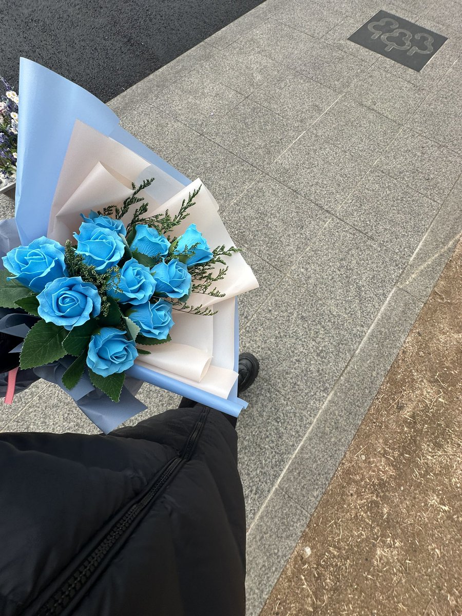 🩵💙🩵💙💐💐