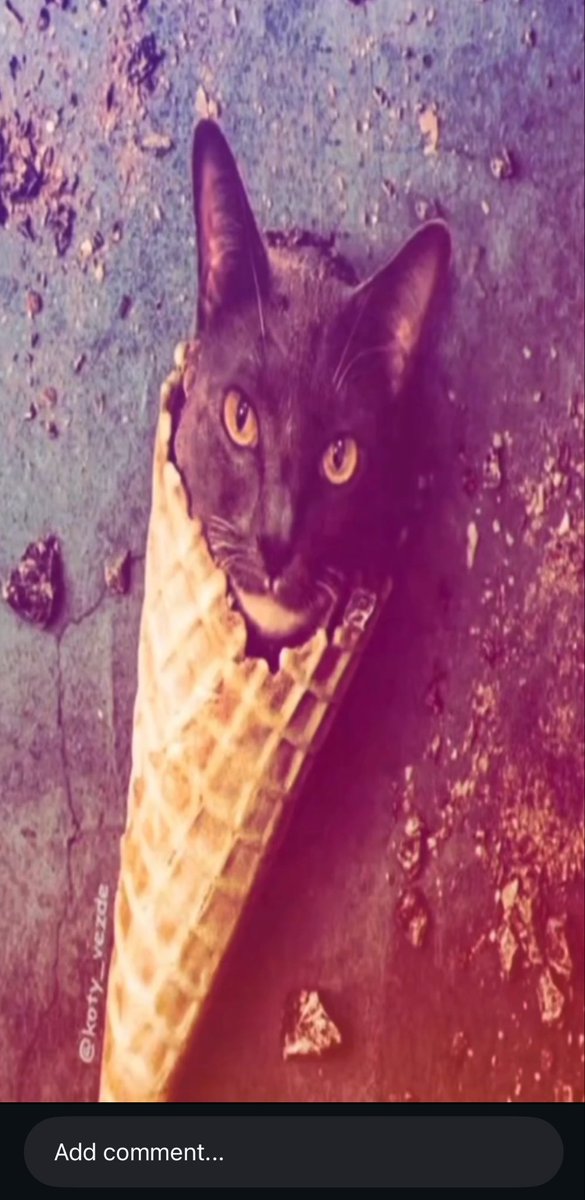 liam (@drdomodophd) on Twitter photo 