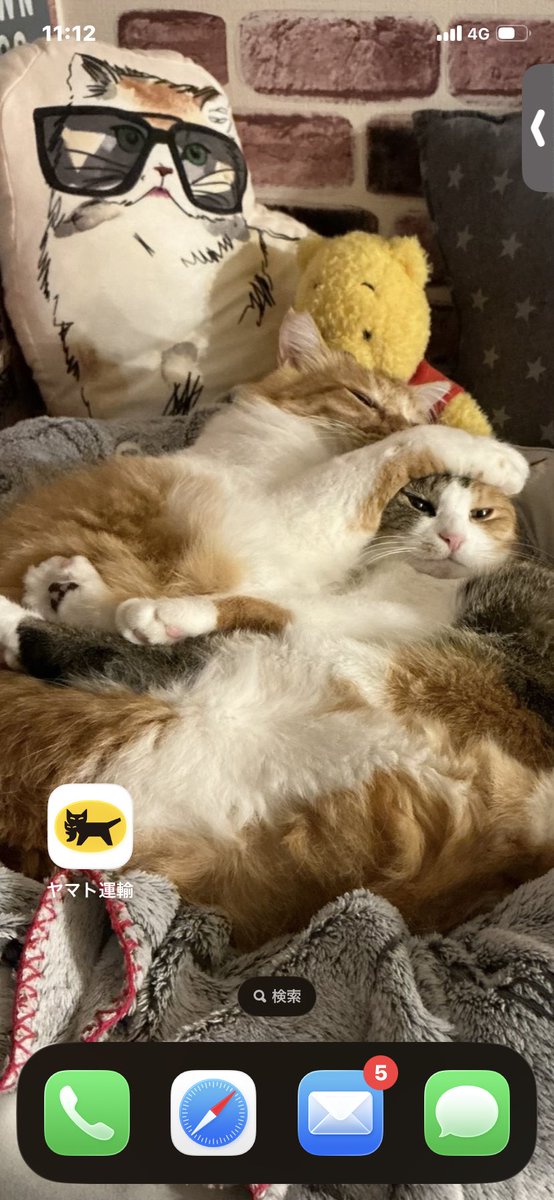 ニャン太桜子🐱 (@nyantacchi) / Posts / X