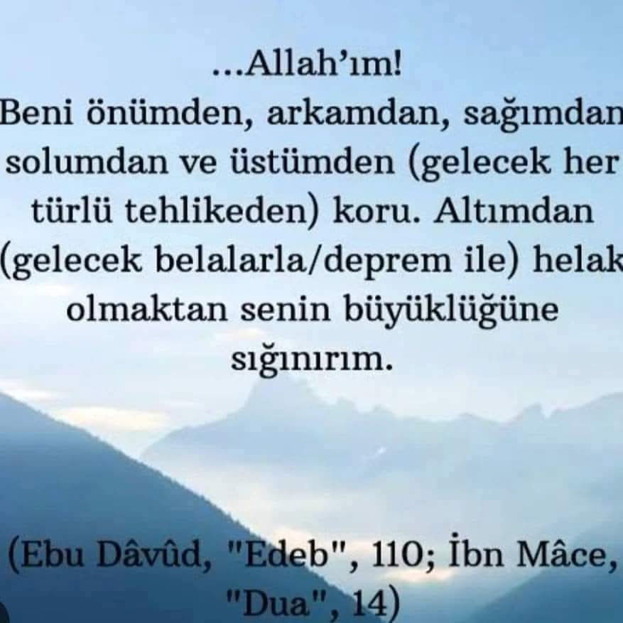 Can Tanem tweet media