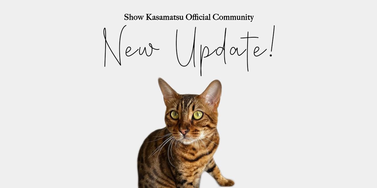 Official  Community
ブログ更新しています

thecatofficial.shop/show-blog

#笠松将 #ShowKasamatsu #skofficialcommunity