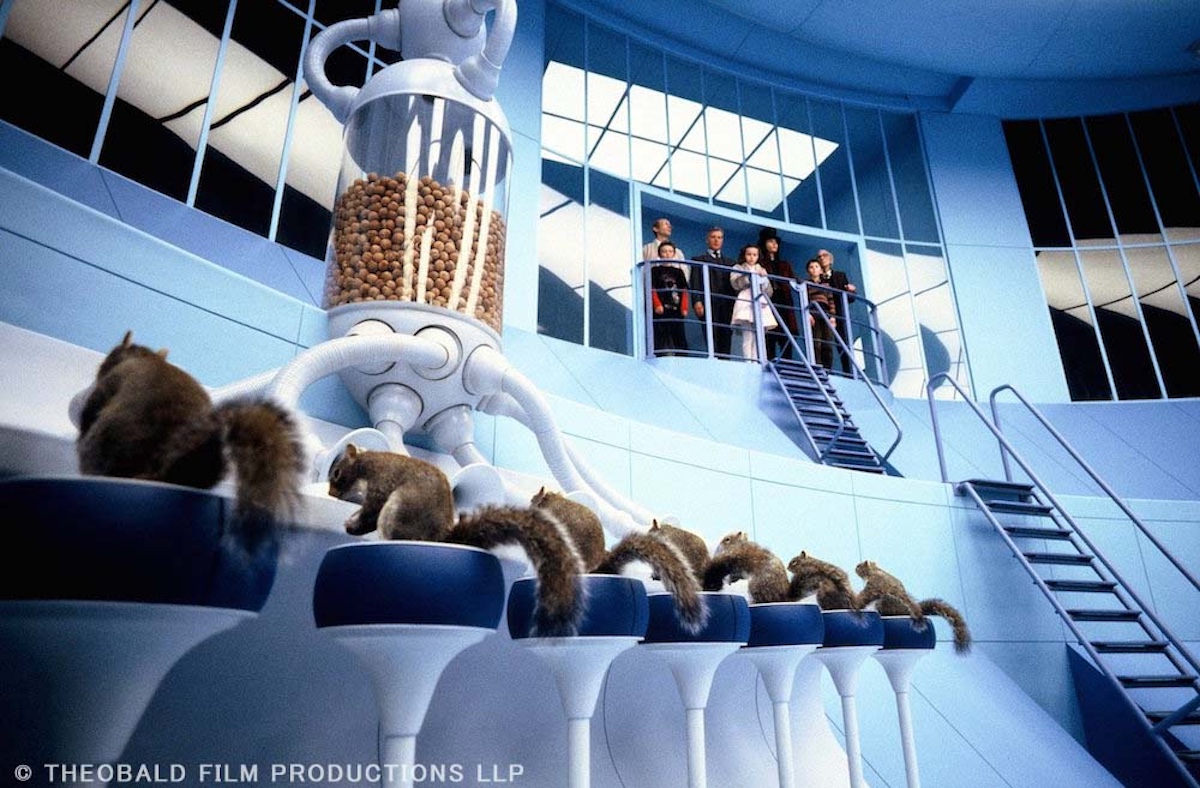 Minima｜小動物メディア tweet media