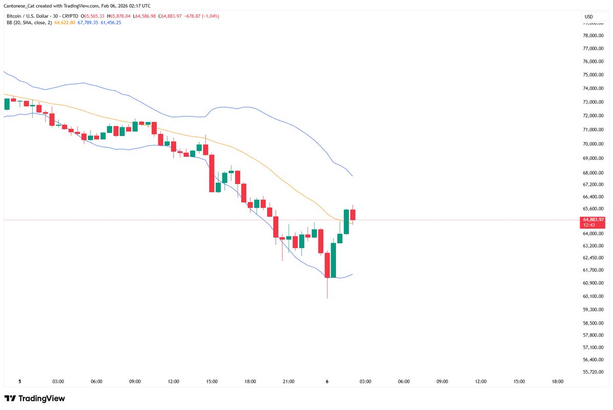 Cantonese Cat 🐱🐈 tweet media