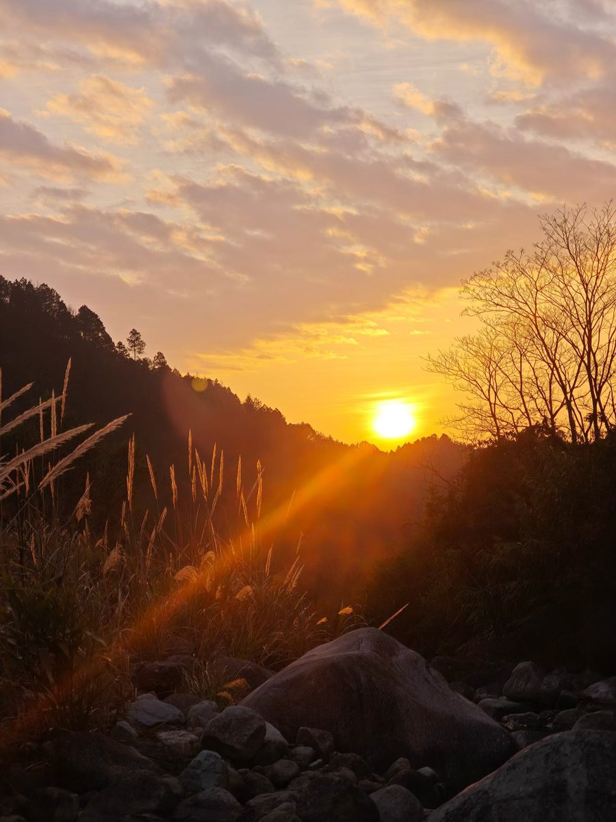 . $RIVER 一月份那波行情,想起来会不会心跳加速 😂

真的,一个几刀的小币,一路冲到89刀 ATH,一个月翻了
快20倍！那阵子满屏都在喊moon。

印象最深的就是孙哥直接砸了800万刀进去,Arthur Hayes
也在X喊单,我当时就想:这是真要起飞了吗？后来1200万战