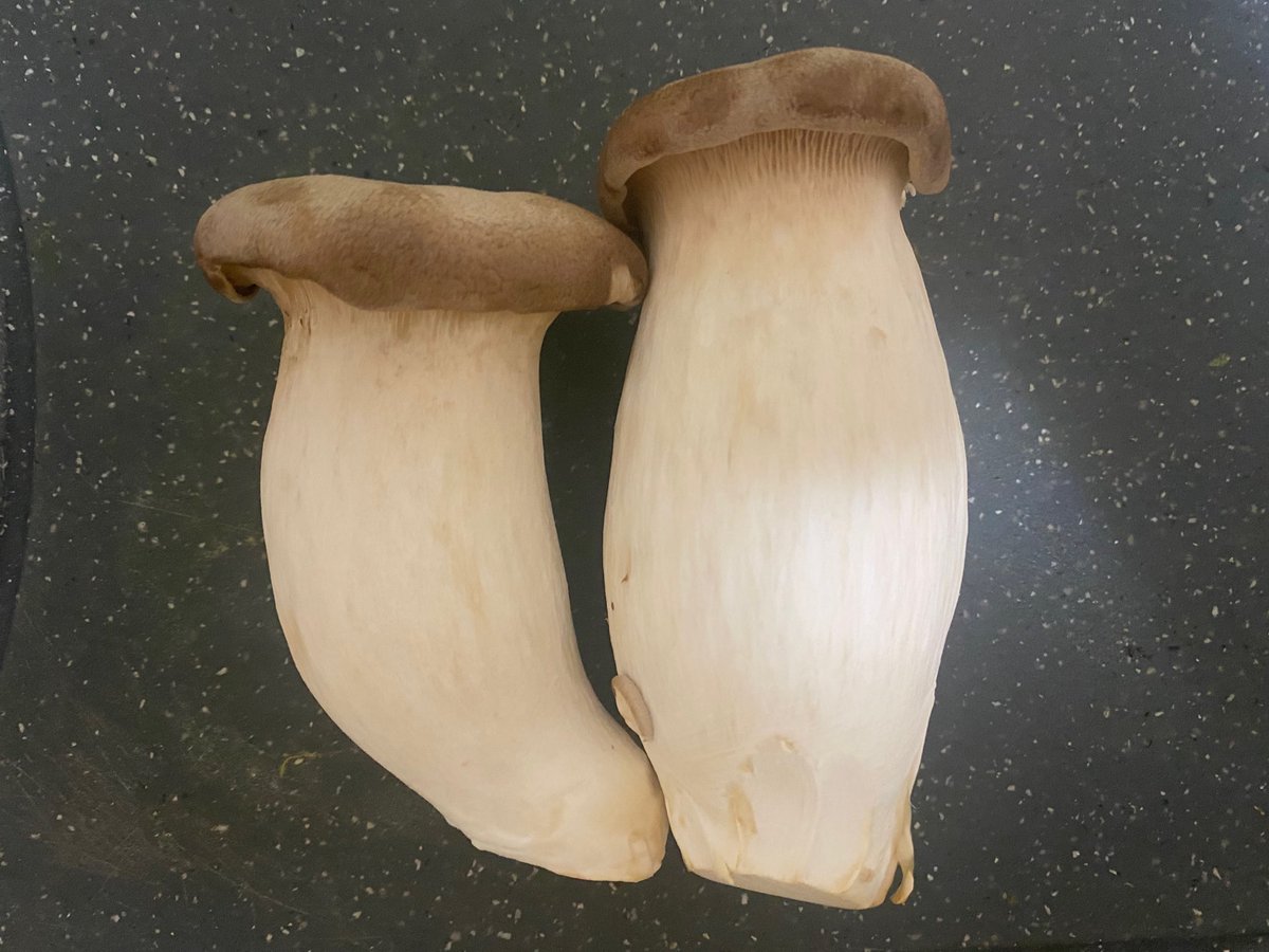 ふくちゃん (@fukuchan5818) / Posts / X