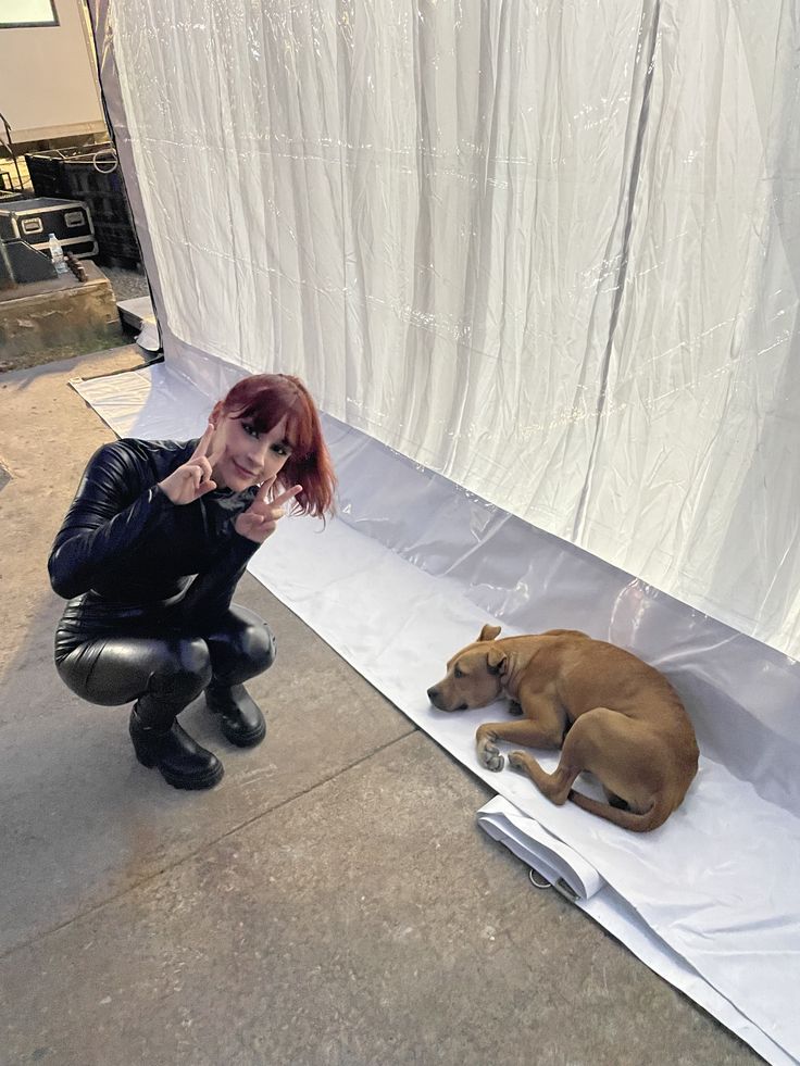 cachorro, vira lata, caramelo 🐕