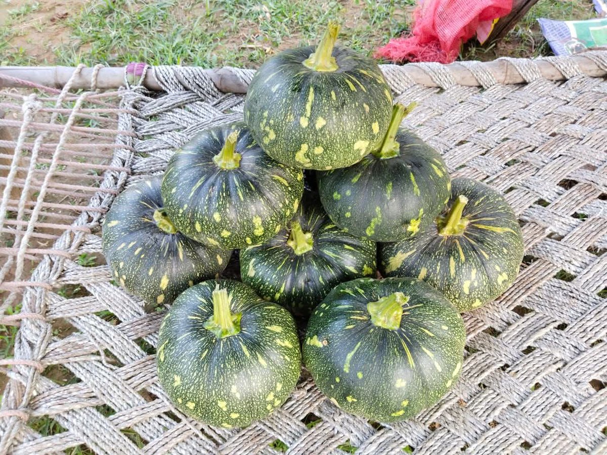 bakaitbaaz's tweet image. शिक्षक : बताओ #Valentine का #विलोम शब्द क्या होगा ? 🫵

बाल @satyagodara ताऊ :- #Quarantine 🙋

शिक्षक : कैसे ??? 🙄

ताऊ :- Sir “वेलेंटाइन” में जहाँ में दो व्यक्ति #पास_पास बैठते हैं, वहीं “क्वॉरेंटाइन” में #दूर_दूर। 🤷‍♂️

टीचर : 🤯🤯🤯

#गोभी_है_तो_पम्पकिन_है