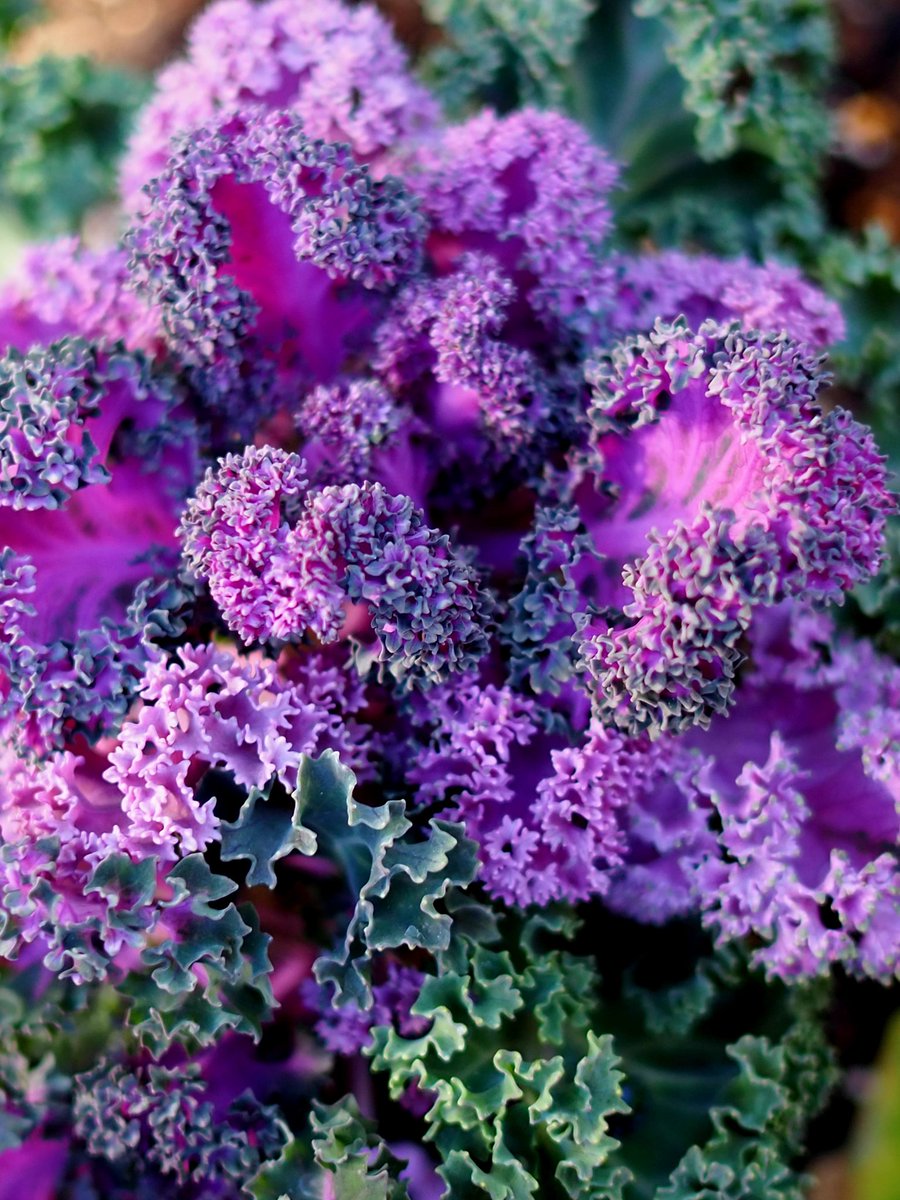 𓏸𓈒花凛𓈒𓏸…˖*֒ (@8341xSMILE) / Posts / X