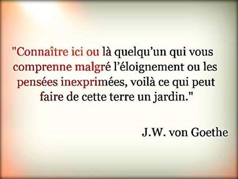 Andrée Phoénix . tweet media