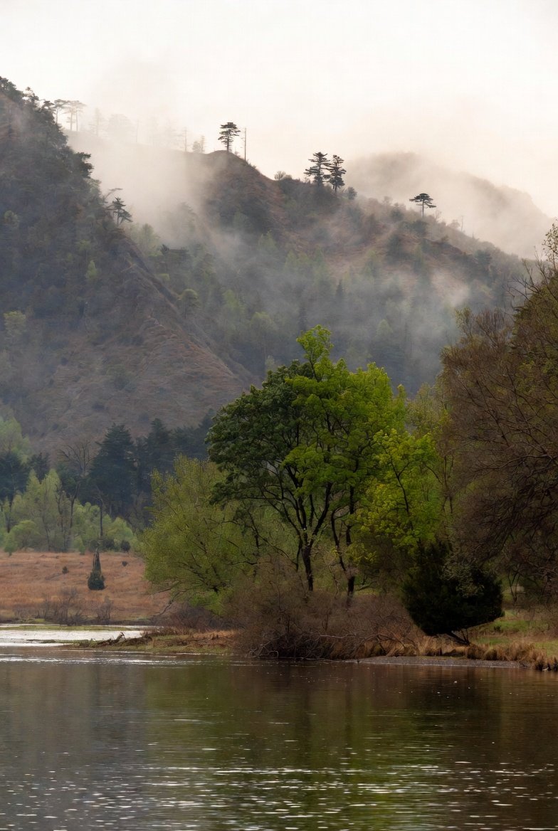 ये मौसम,ये गालियां,ये चौबारा अब मिलेगा न दुबारा।

प्रकृति बहुत सुंदर होती है ,प्रकृति की सुंदरता देखने के लिए हमारे अंदर की सुंदरता बहुत जरूरी है क्योंकि साफ आईने से चेहरे साफ नजर आते है

मै अपने मन से अपनी वाणी से और अपने वचन से प्रण लेती हु कि अपने अंदर की पवित्रता बनाए रखूं