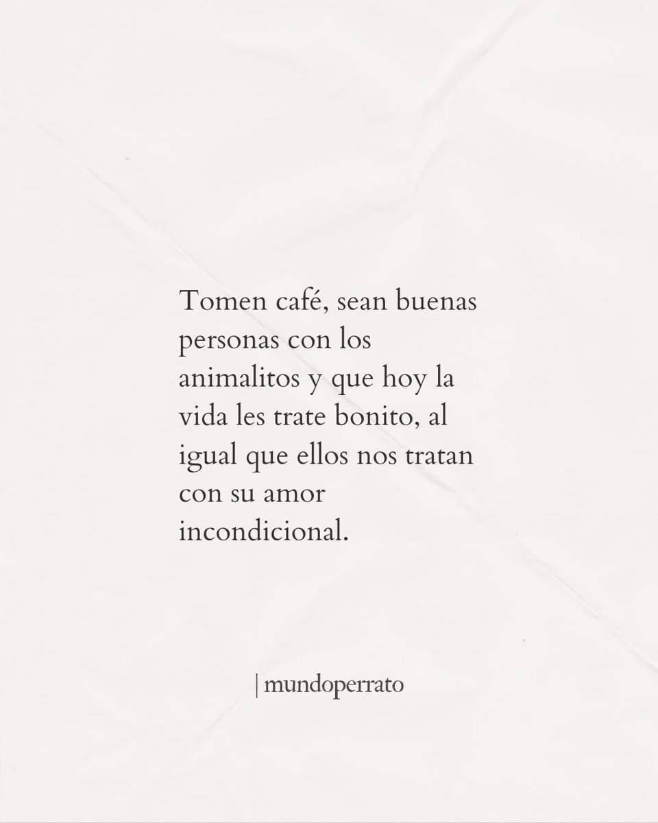 Morales_Ingriz's tweet photo. ☕️🐾✨️ https://t.co/IiRA7W6Msm
