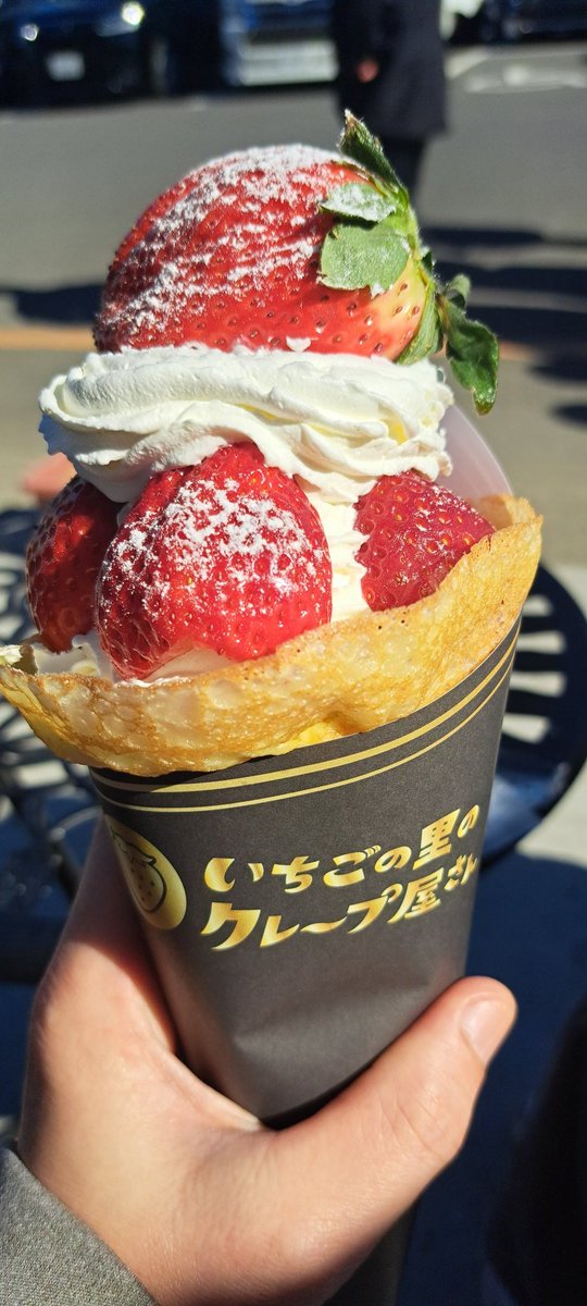anagosan428's tweet photo. 先日、いちごの里に行ってきた
無性にいちごが食べたくて
今回はクレープにした😋
いちごも甘くて大きくて満足😁
帰りに道の駅で肉汁うどん
満腹満足の日でした😆 https://t.co/TYvzgNgygb