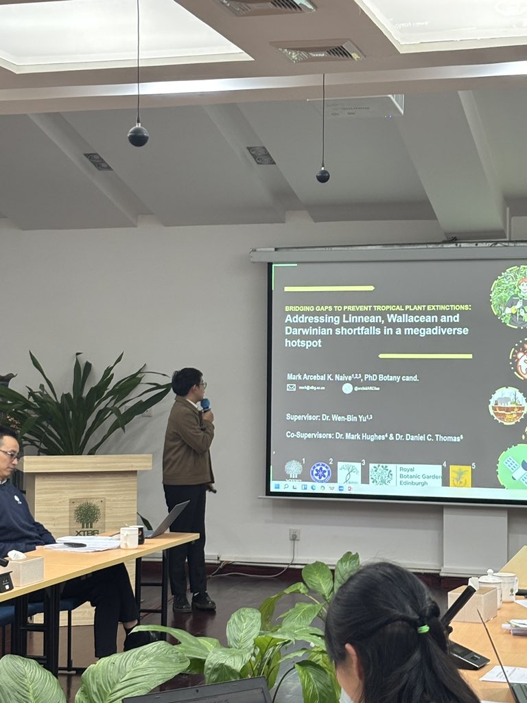 Arcii Naive｜马克 🇵🇭 tweet media