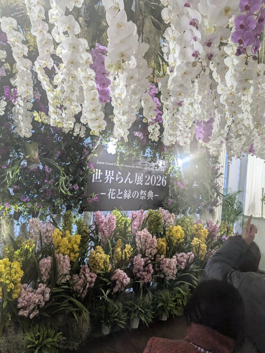 violetvoix1's tweet photo. 昨日母と世界らん展行ってきましたꕤ︎︎ https://t.co/ZyIe8dxfai