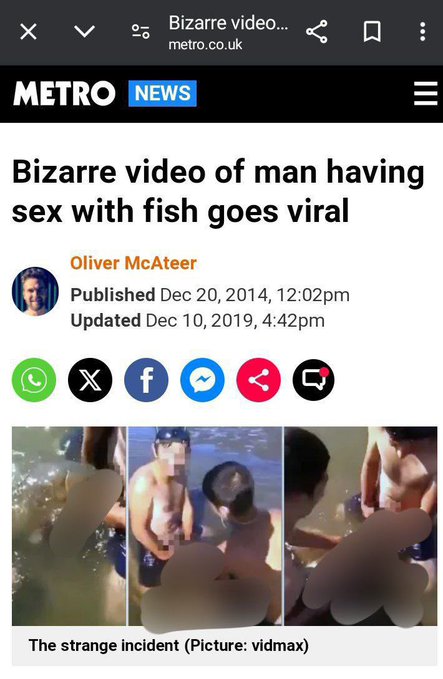 yrone ッ tweet media