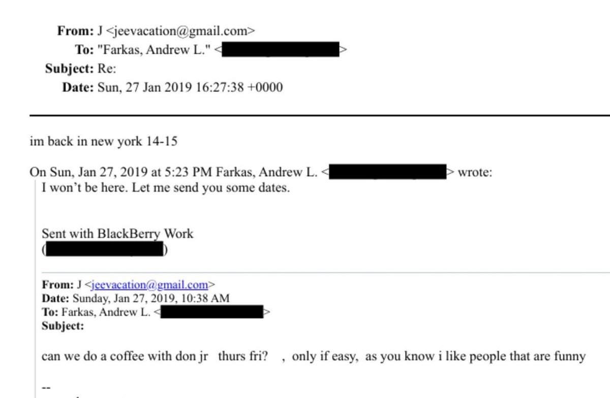 🚨 BOMBSHELL: Epstein email references meeting with Donald Trump Jr all the way in 2019, 12 years after the Trump’s claim they “cut him off.”