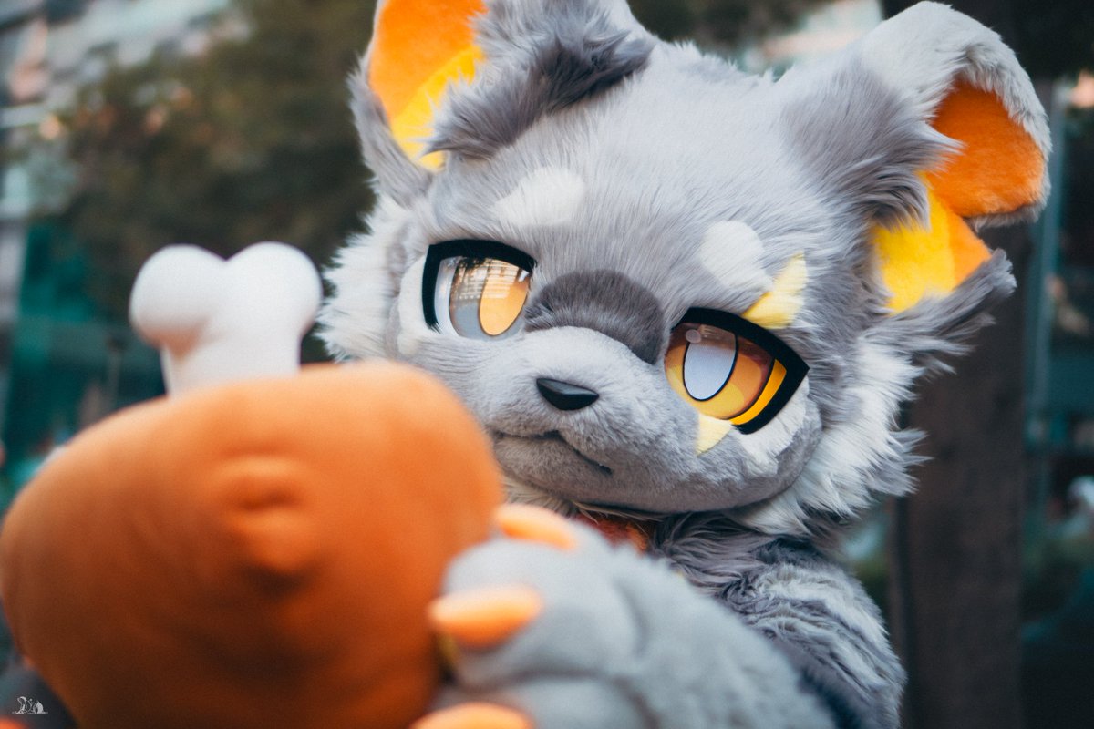 奥利（ohri） tweet media