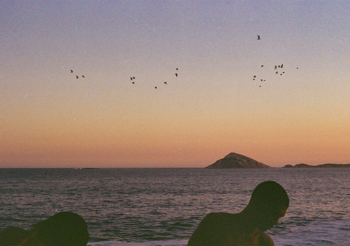 óbvio lululante tweet media