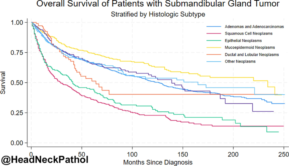Lester Thompson tweet media