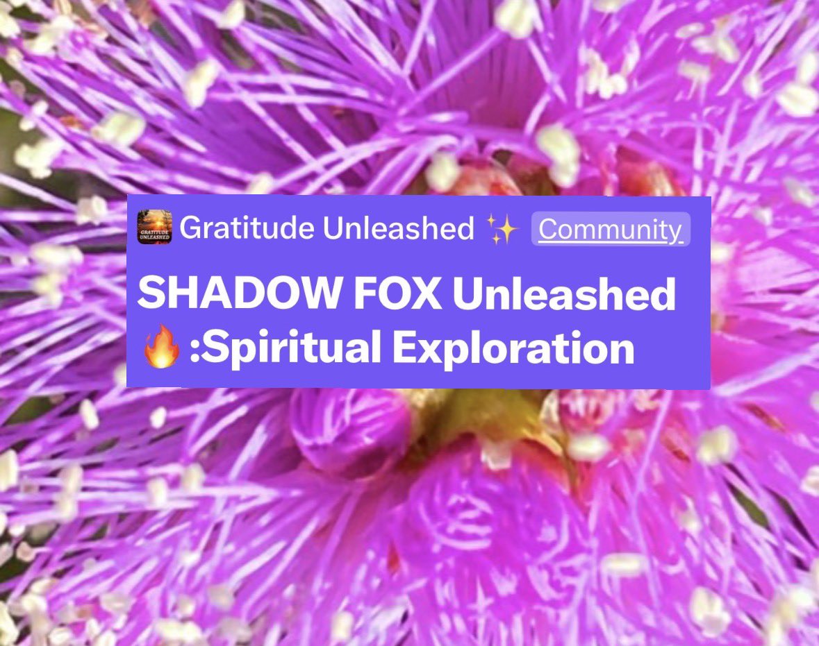 Maria Humphreys ✨Inspirational Speaker/Producer tweet media