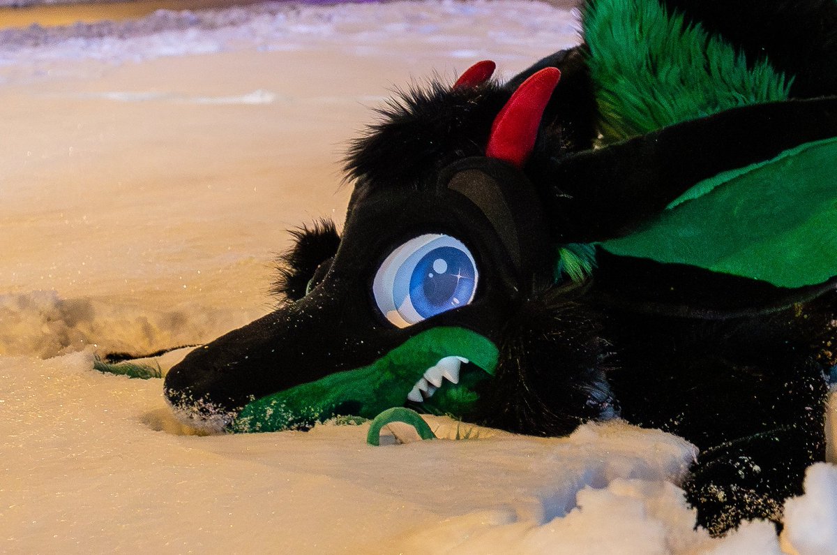 * sniff,sniff,sniff* hummmm
*lick,lick*  yesss
as I expected >:3 this snow is snow 

🧵🪡 <a href="/MoreFurLess/">More Fur Less</a>
📸 <a href="/AscariHusky_/">Ascari Husky @Fursquared</a>
📍 Mff 2025