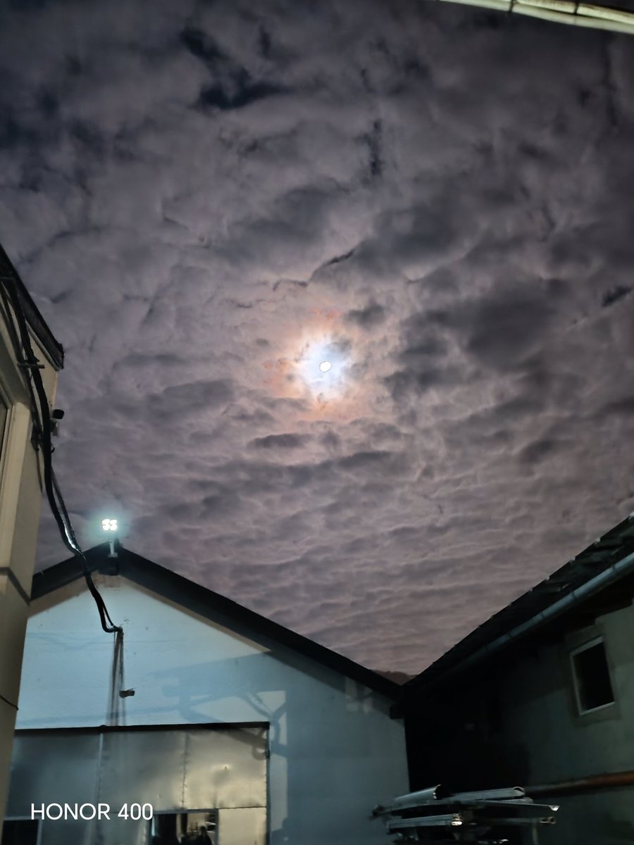 Cafeaua de dimineață by Clau 🥰☕ 
Încă avem lună plină.🌚