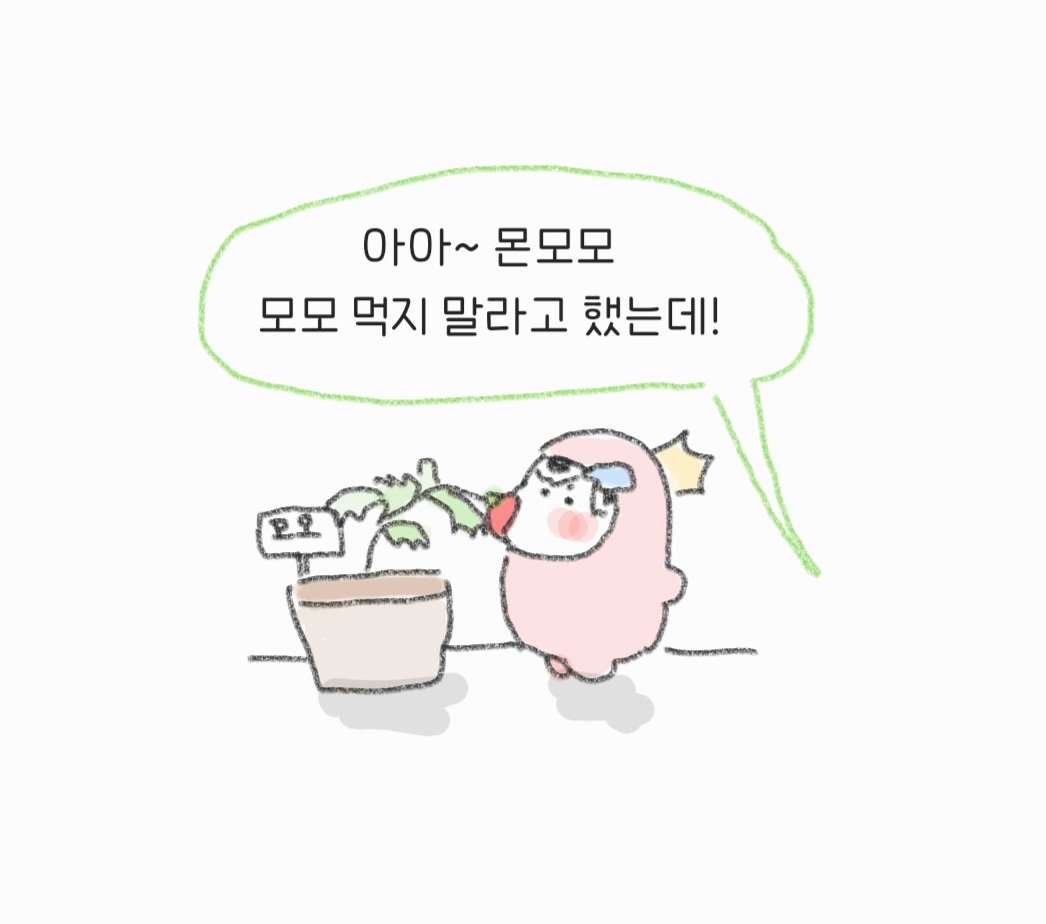 메밀🥳 (@memilcharrr) on Twitter photo 