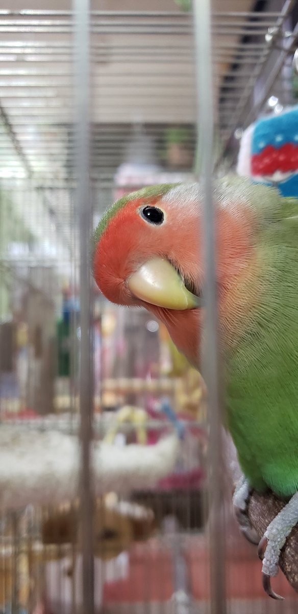 おかぁたん♥️