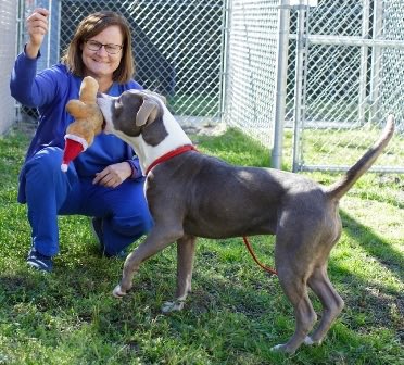 Champion Jeep tweet media