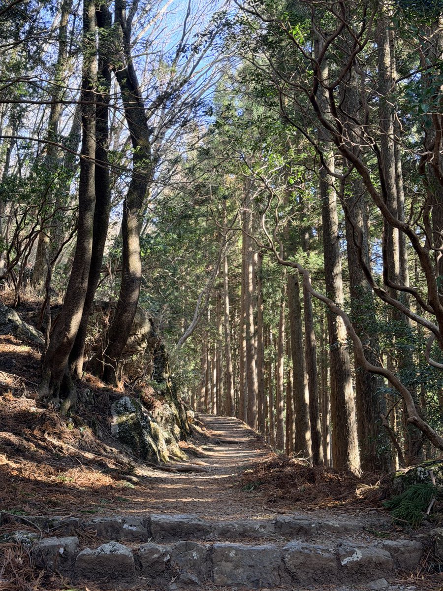 VmgmlIs's tweet photo. 今年は初めての登山でしたが、自然の中で本当にリラックスできました。
#日の出山 https://t.co/aymWErs5Xp