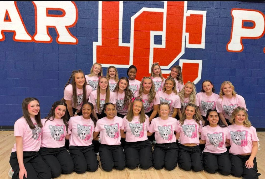 Dickson County High School Athletics tweet media