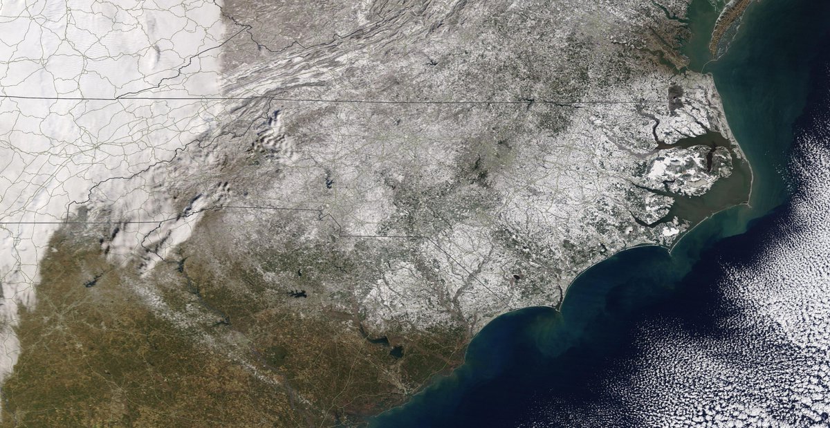 Tim Buckley tweet media