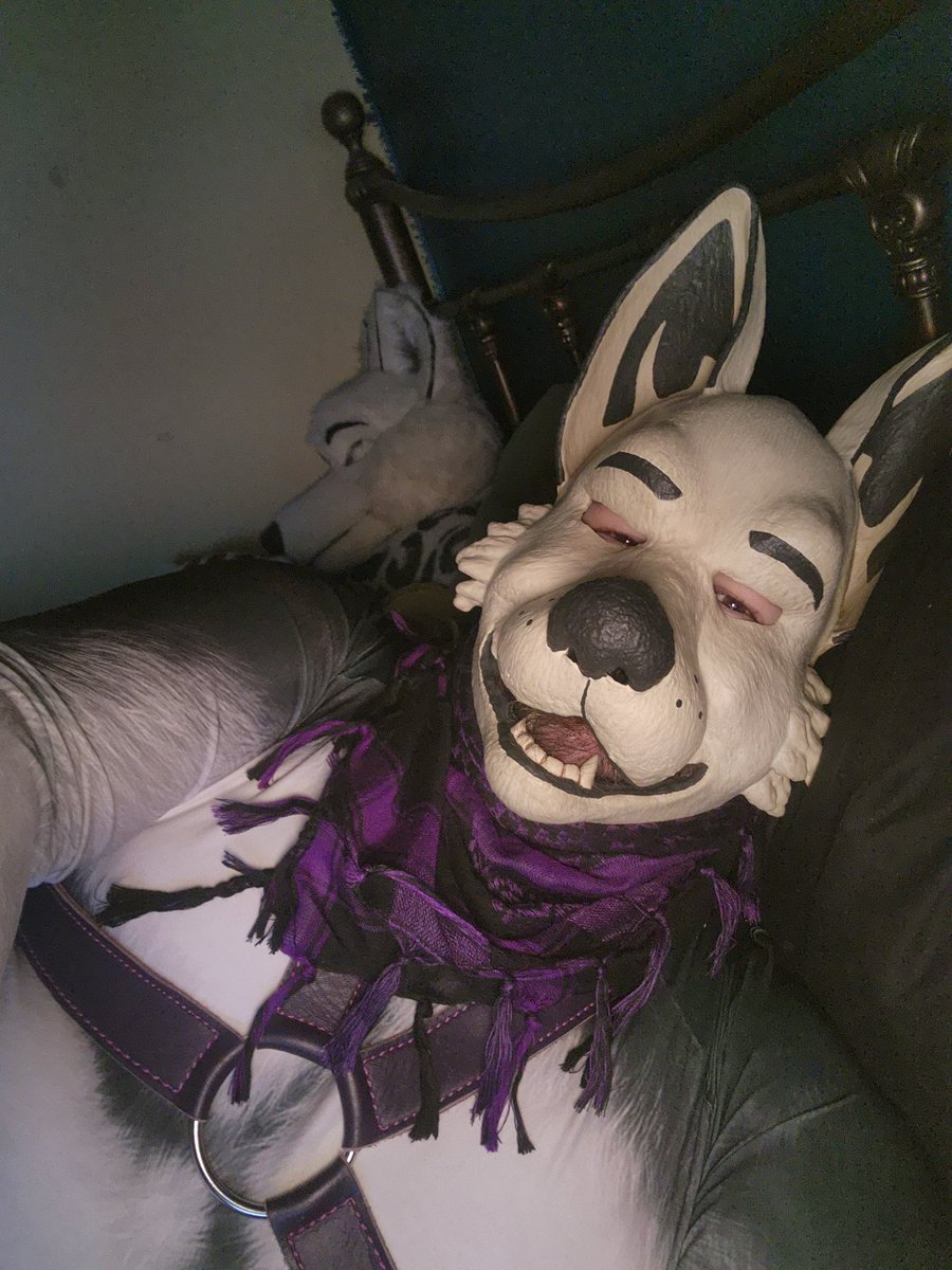 FalloutSouthpaw's tweet photo. @Crispy_Creature Rubber is also a viable option, I personally cant stand the feel or smell of neoprene but love the texture and scent of rubber/latex https://t.co/2wWMJN5T9F