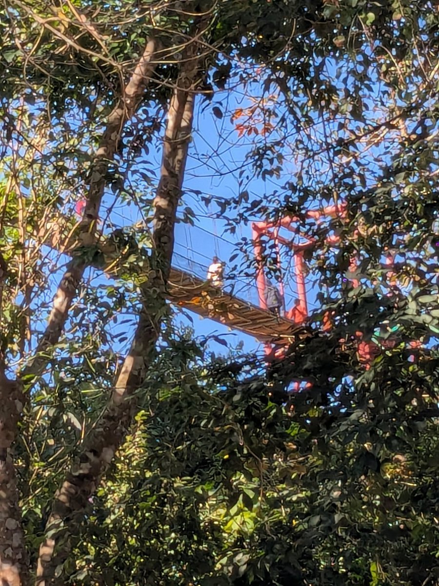 craigdude2001's tweet photo. Most interesting part of our English on Tour trip to Nahkorn Sri Thamarat so far. Bota Sky Tower 😎 #Afraidofheights https://t.co/sszC4RmlmF