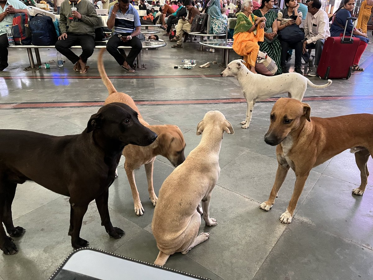 Tapan Kumar Pradhan 🇮🇳 tweet media