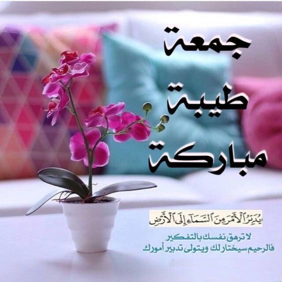 جمعة مباركة للجميع، اللهم اجعلها يوم فرح وسعادة. 💐💖 

#جمعة_مباركة