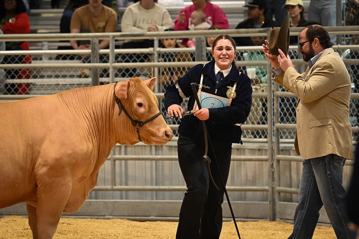 TheMs_B's tweet photo. Congratulations to the 2026 @CyFairISD @CFISDLSA Steer competition winners! 
🥇Grand Champion: Emerson Willeford, @CyWoods212 
🥈Reserve Grand Champion: Alyssa Kendziora, @CyWoods212 #CFISDSpirit 🎉#ChooseCFISD https://t.co/obXli5RZO3