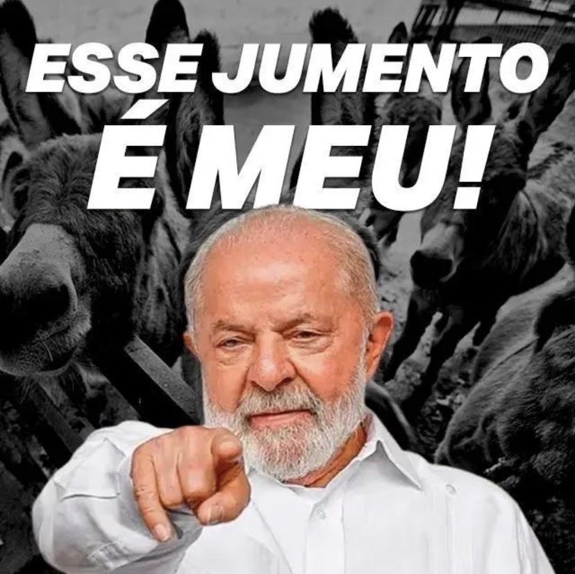 Fernanda Fernandes tweet media