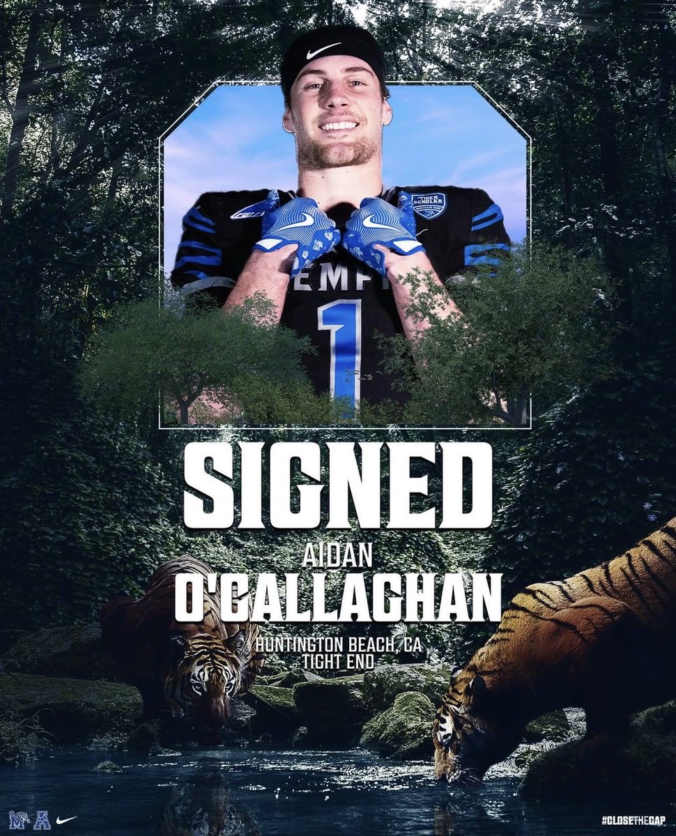 Aidan O’Callaghan tweet media